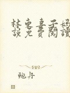 林东妻子妈妈小说免费阅读