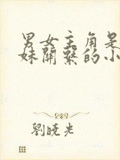 男女主角是继兄妹关系的小说