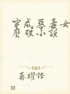 穿成恶毒女配肿么破小说