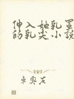 伸入她乳罩揉她的乳尖小说