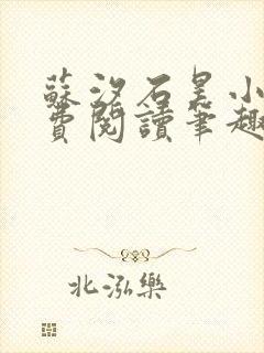 苏汐石昊小说免费阅读笔趣阁封面