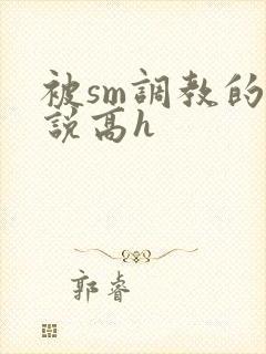 被sm调教的小说高h