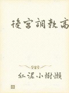后宫调教高h文