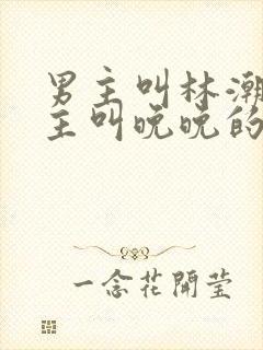 男主叫林潮生女主叫晚晚的小说