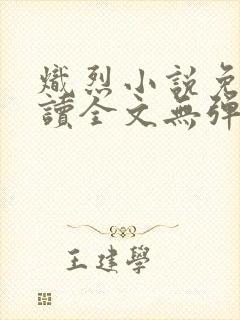 炽烈小说免费阅读全文无弹窗