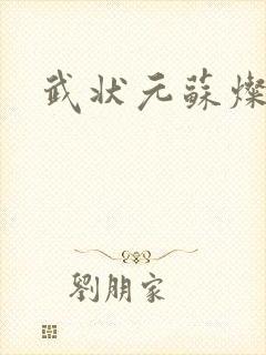 武状元苏灿封面