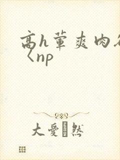 高h荤爽肉欲文〈np封面