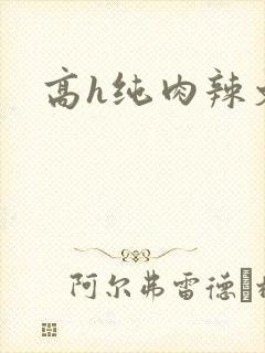 高h纯肉辣文封面