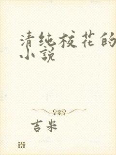 清纯校花的堕落小说