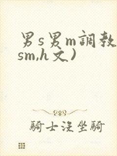 男s男m调教(sm,h文)