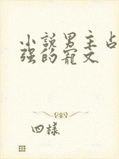 小说男主占有欲强的宠文封面