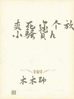 爽死你个放荡的小骚货h