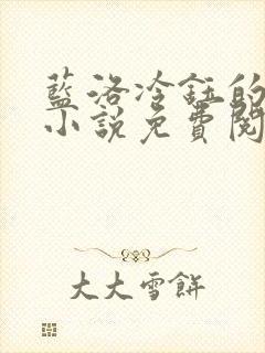 蓝洛冷钰的穿越小说免费阅读封面