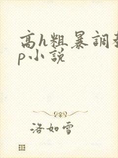 高h粗暴调教np小说封面