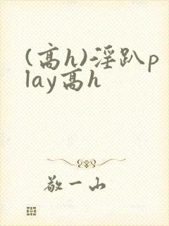 (高h)淫趴play高h