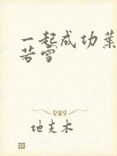 一起成功叶凡唐若雪