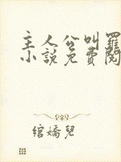 主人公叫罗铮的小说免费阅读笔趣阁封面