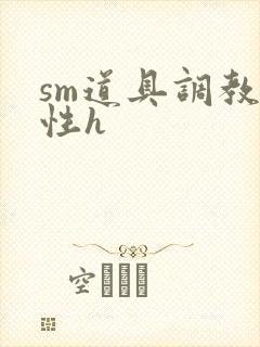 sm道具调教双性h封面