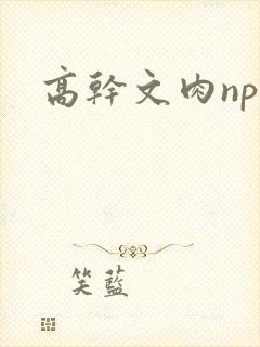 高干文肉np封面
