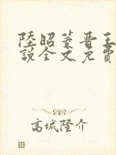 陆昭菱晋王的小说全文免费阅读