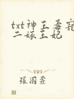 txt神王毒宠二嫁王妃