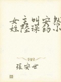 女主叫安然男主姓陆琛的小说