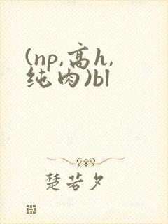 (np,高h,纯肉)bl