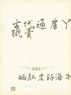 古代通房丫鬟的职责