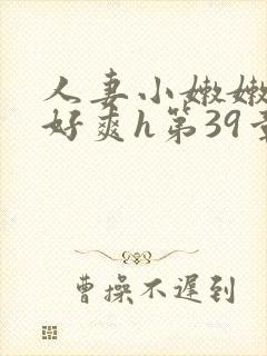 人妻小嫩嫩好紧好爽h第39章