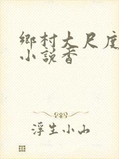 乡村大尺度做爰小说香封面