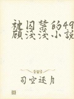 被囚禁的49天顾浅浅小说全文阅读无弹窗