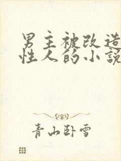 男主被改造成双性人的小说叫什么男