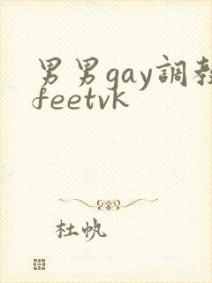 男男gay调教feetvk