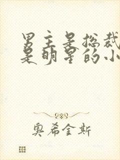 男主是总裁女主是明星的小说