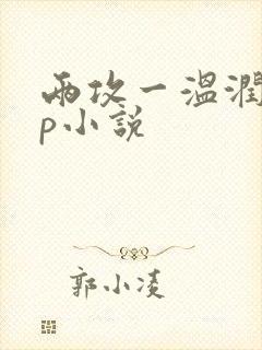 两攻一温润受3p小说