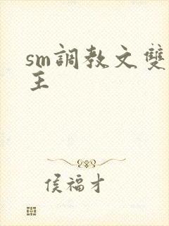 sm调教文双男主