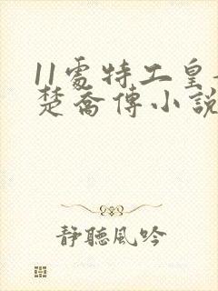 11处特工皇妃楚乔传小说