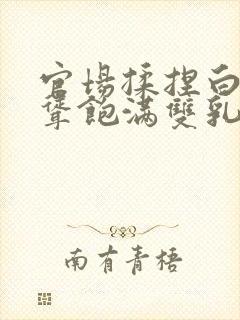 官场揉捏白嫩高耸饱满双乳