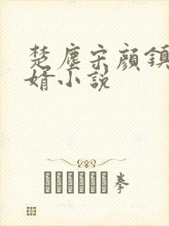 楚尘宋颜镇国神婿小说