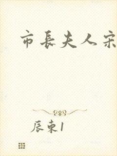 市长夫人宋姐封面