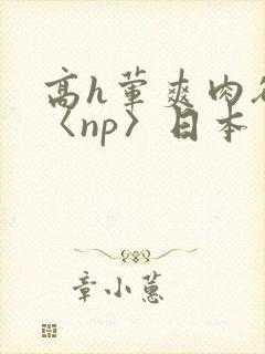 高h荤爽肉欲文〈np〉日本
