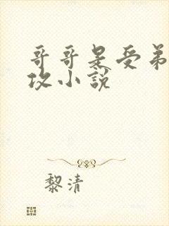 哥哥是受弟弟是攻小说