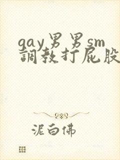 gay男男sm调教打屁股惩罚