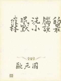 催眠洗脑的姐姐林默小说最新章节更