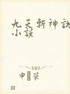 九天斩神诀完整小说