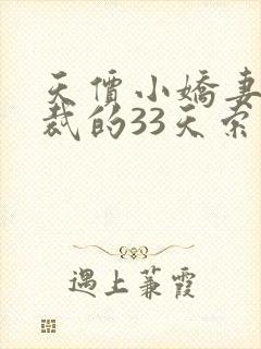 天价小娇妻,总裁的33天索情