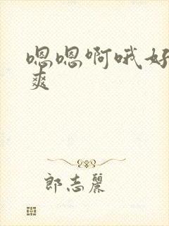 嗯嗯啊哦好大好爽封面