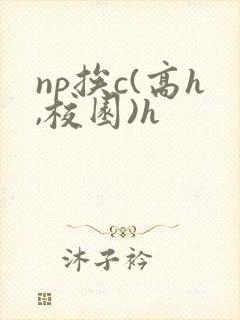 np挨c(高h,校园)h