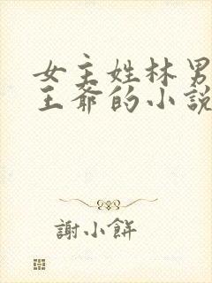 女主姓林男主是王爷的小说