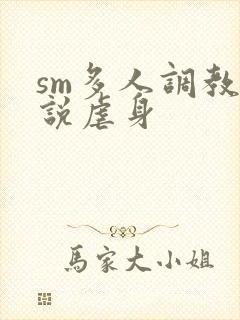 sm多人调教小说虐身